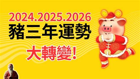 2023屬豬幸運物|2024屬豬幾歲、2024屬豬運勢、屬豬幸運色、財位、禁忌